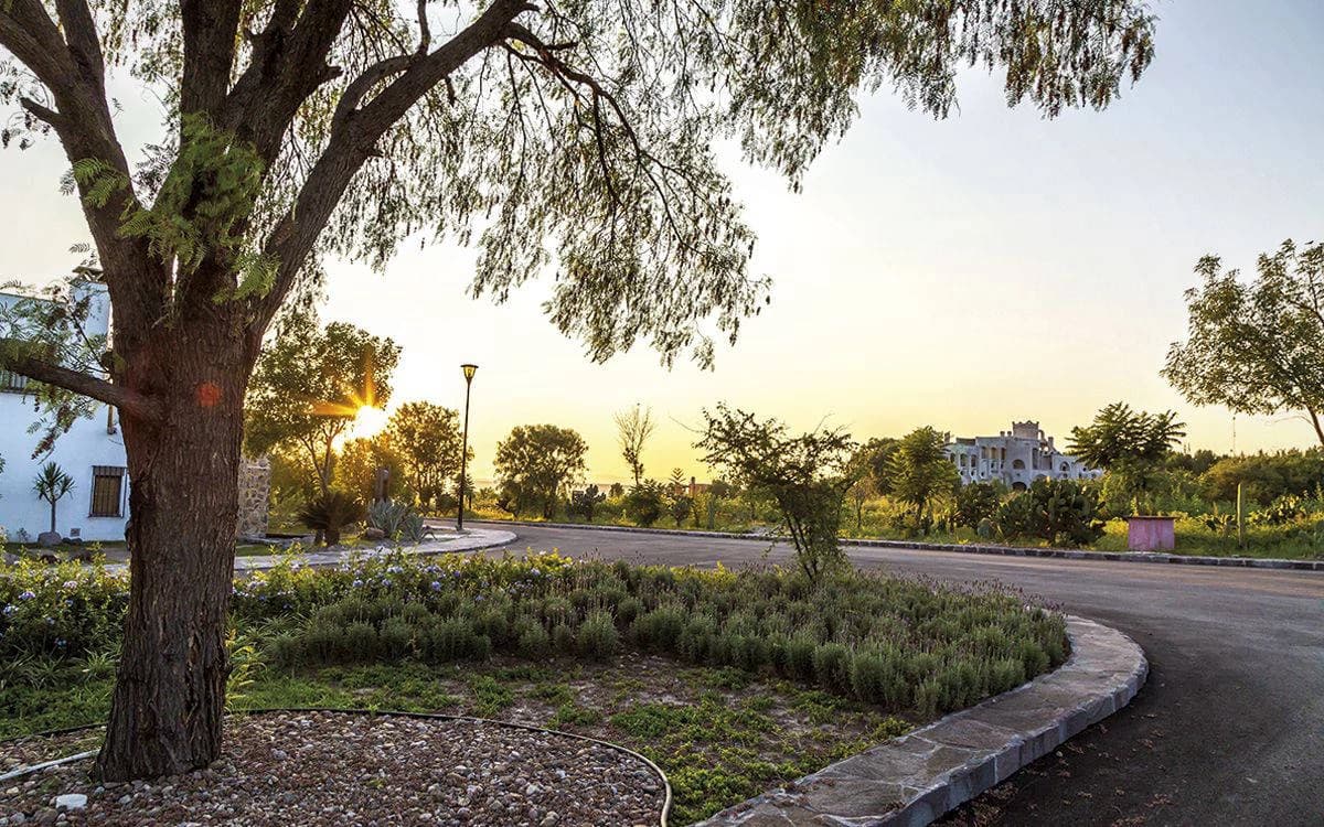 Enorme sauce dentro de condominio Las Campanas