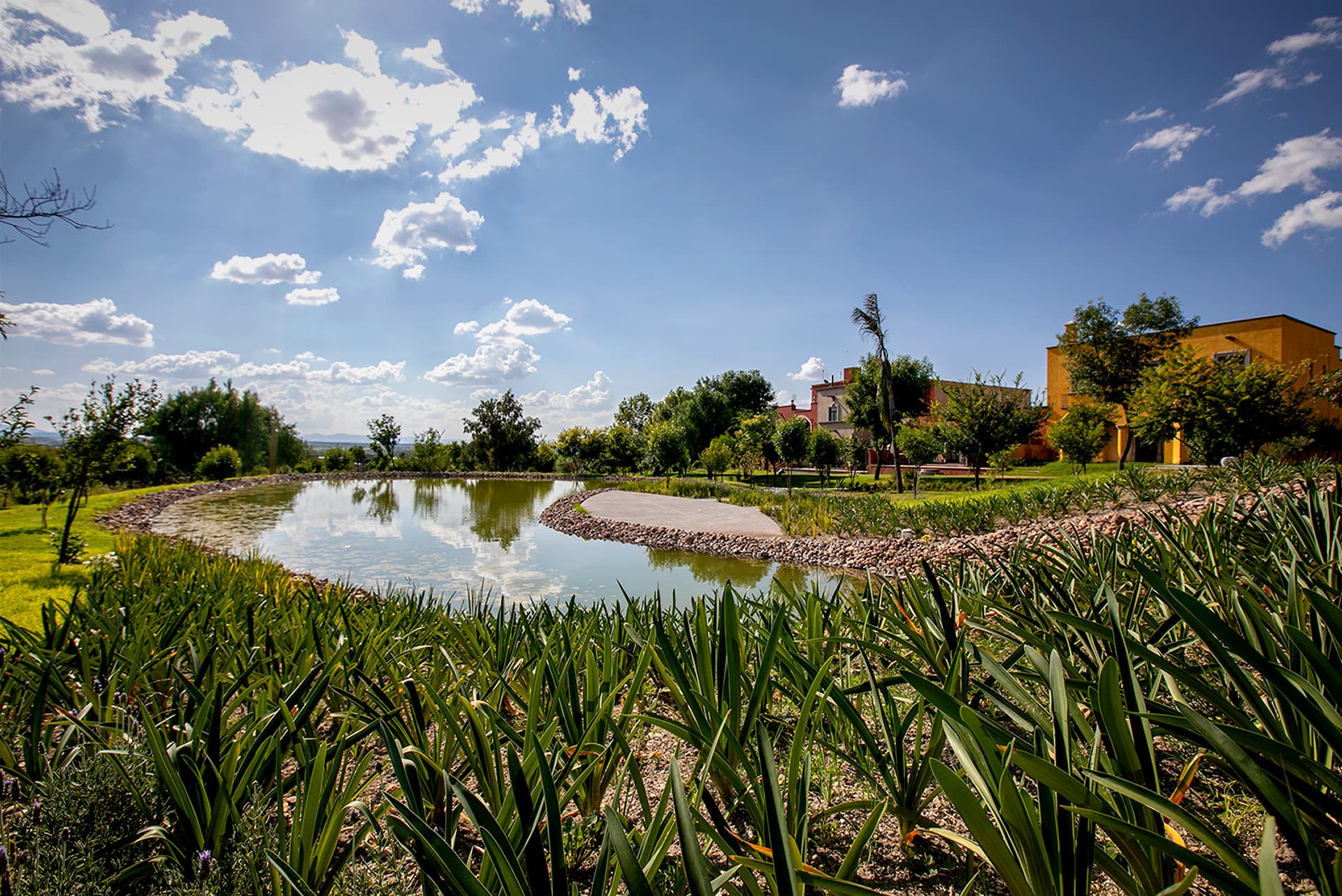 área verde en condominio Las Campanas.