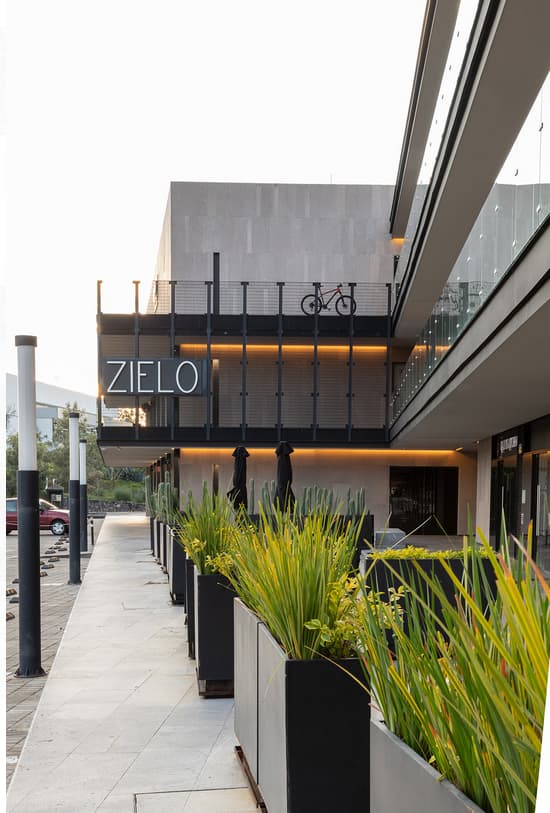 Fachada de Plaza Zielo con plantas en primer plano